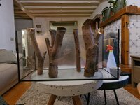 20201009_211041.jpg