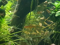 20201014_184138.jpg