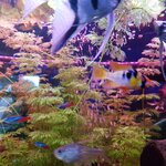 20201004_180434.jpg