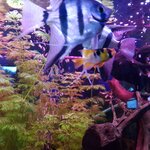 20201004_180435.jpg