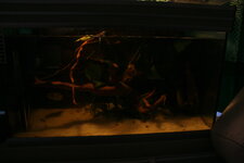 IMG_6690.JPG