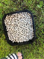 WhatsApp Image 2020-10-18 at 10.32.41 (3).jpeg