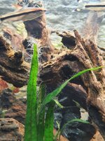 20201018_201129.jpg