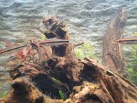 20201018_201122.jpg