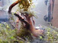 IMG_20201018_181252.jpg