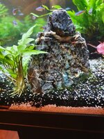 20201023_205707.jpg