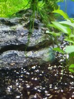 20201023_210224.jpg
