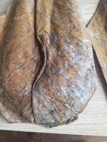 20201028_111937.jpg
