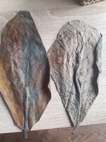 20201028_111926.jpg