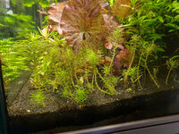 20201028-plant 1.jpg