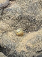 IMG_7238.jpeg