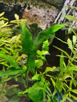20201106_113535.jpg