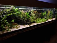 20201104_212350.jpg