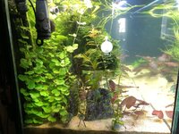 IMG_2113.JPEG