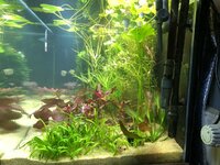 IMG_2115.JPEG