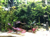 IMG_2117.JPEG