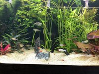 IMG_2119.JPEG