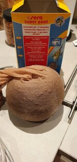 20201113_202211.jpg