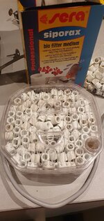 20201113_201533.jpg
