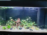 20201117_124926.jpg