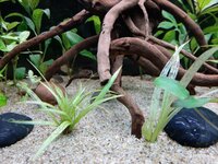 20201117_124931.jpg