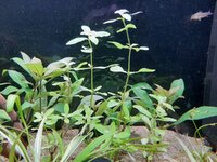 20201117_124952.jpg
