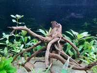 20201117_124948.jpg