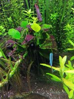 IMG_20201119_151649.jpg