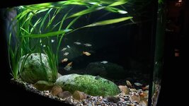 20201119_173105.jpg