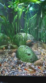 20201119_173119.jpg
