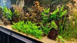 20201119_134529.jpg