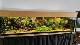 20201119_134606.jpg