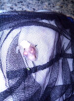 IMG_20201120_140128.jpg