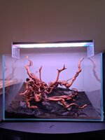 20201119_140049.jpg