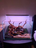 20201119_160212.jpg
