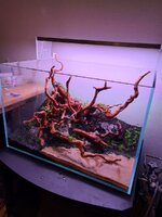 20201119_160218.jpg