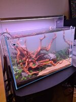 20201120_160007.jpg