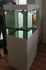 IMG_20200716_085745.jpg