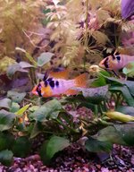 20201014_202119.jpg
