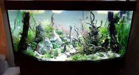 20201123_203234.jpg