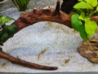 20201125_200937.jpg