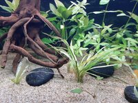 20201125_130407.jpg