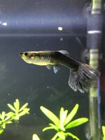 128711601_2782159072002343_4843482647143955145_n (1).jpg