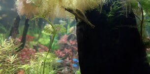 20201204_203016.jpg