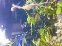 20201113_080208.jpg