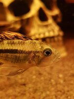 20201125_171022.jpg