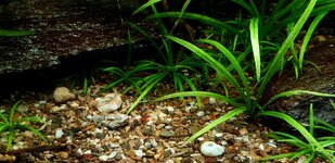 20201126_160834.jpg