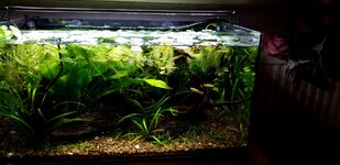 20201206_142219.jpg