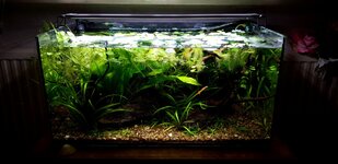 20201206_142212.jpg