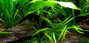 20201206_142241.jpg